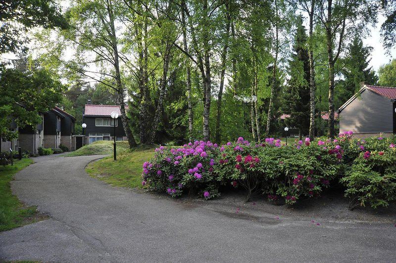 Fletcher Hotel Restaurant De Wipselberg-Veluwe Beekbergen Kültér fotó